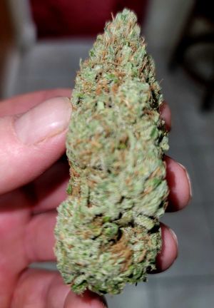 fancy-weed-06